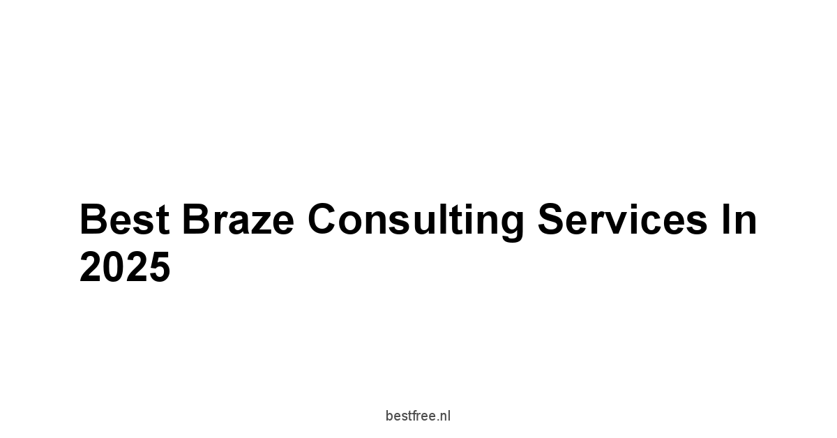 Best Braze Consulting Services in 2025 1 by BestFREE.nl