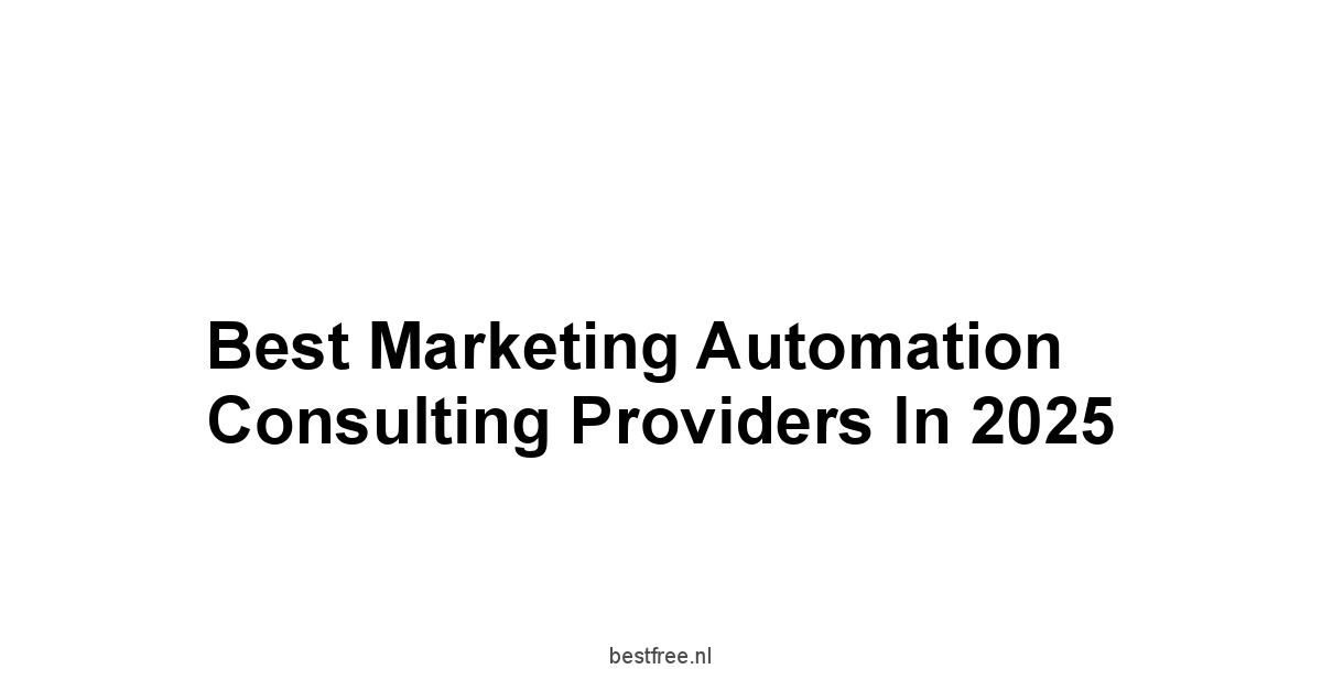 Best Marketing Automation Consulting Providers in 2025 1 by BestFREE.nl