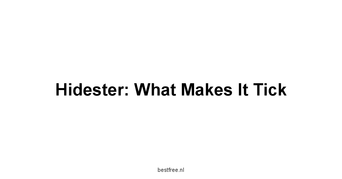 Hidester: What Makes It Tick