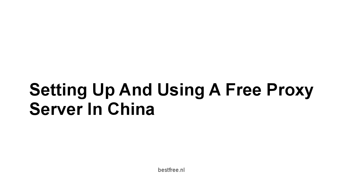 Setting up and Using a Free Proxy Server in China