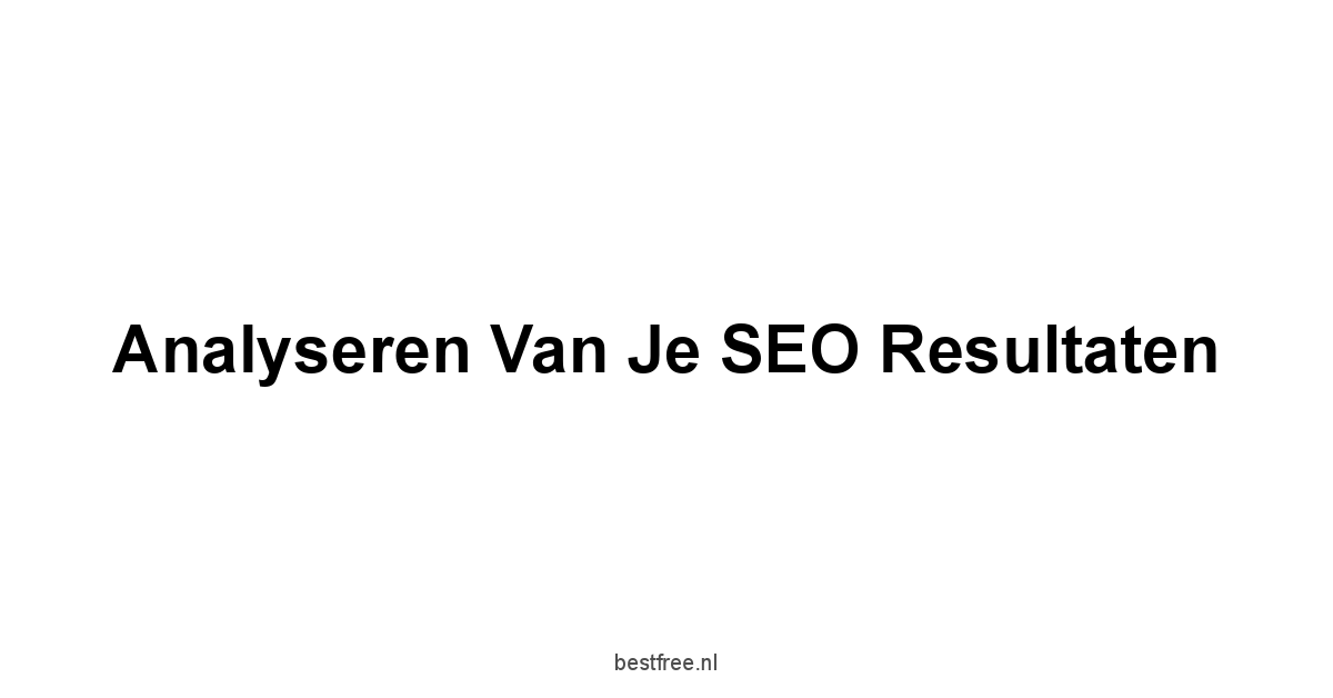 Analyseren van je SEO Resultaten