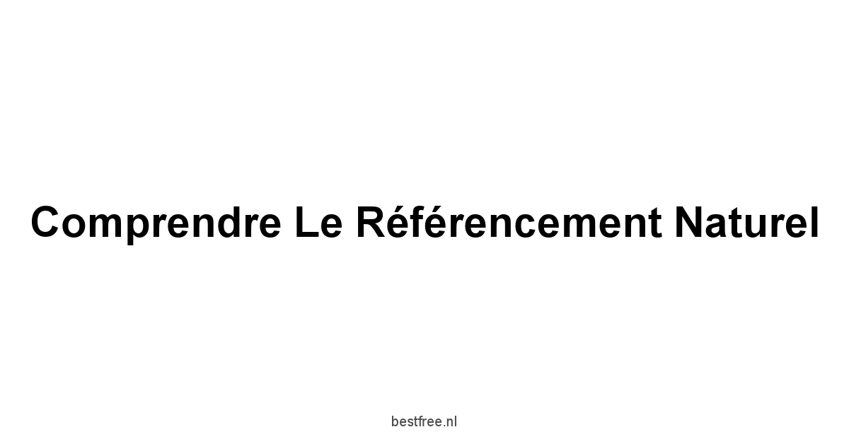 Comprendre le Référencement Naturel