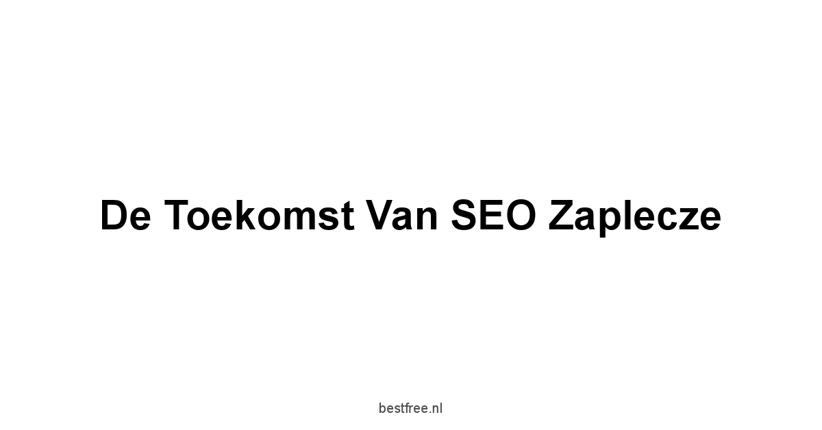 De Toekomst van SEO Zaplecze