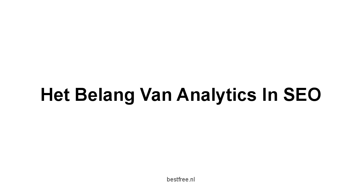 Het Belang van Analytics in SEO