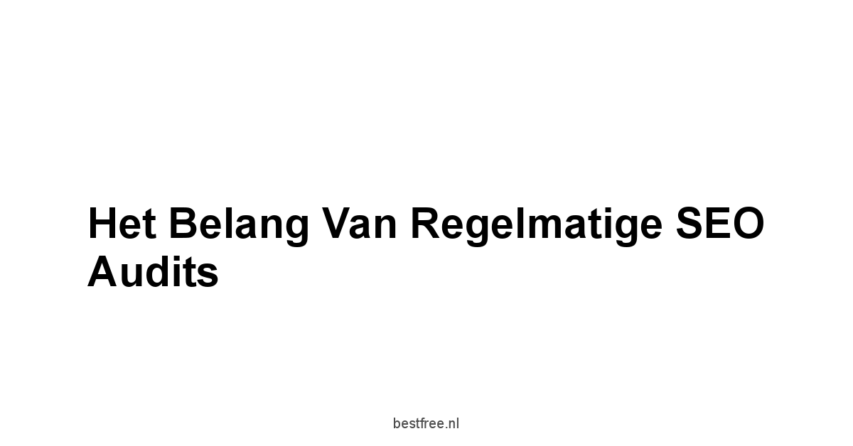 Het Belang van Regelmatige SEO Audits