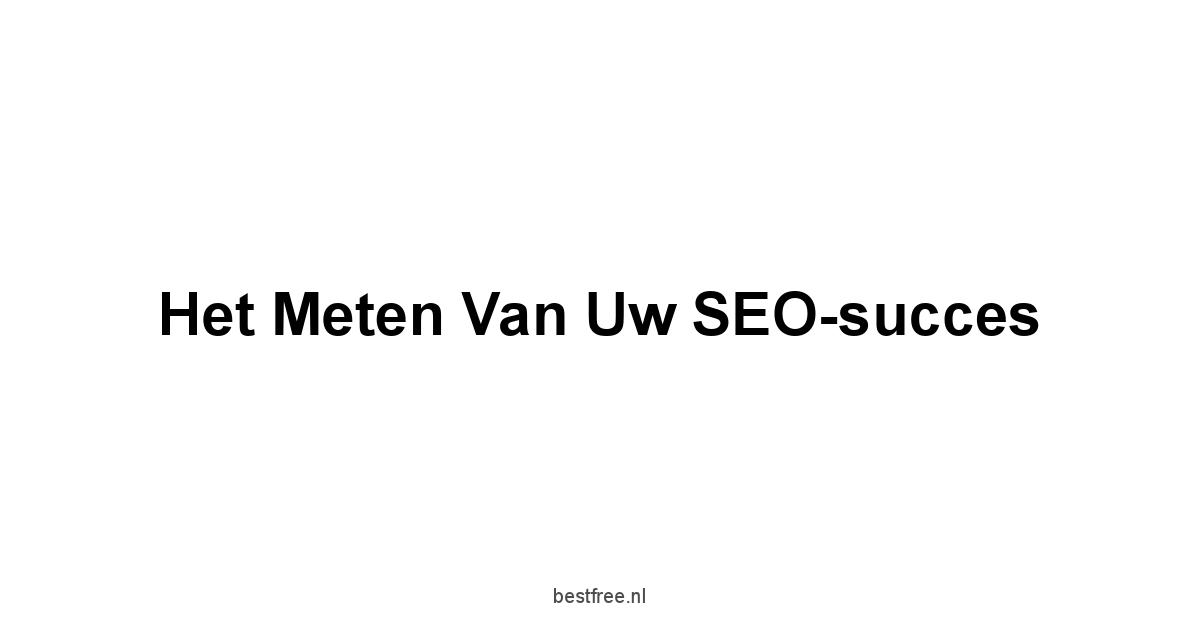 Het meten van uw SEO-succes