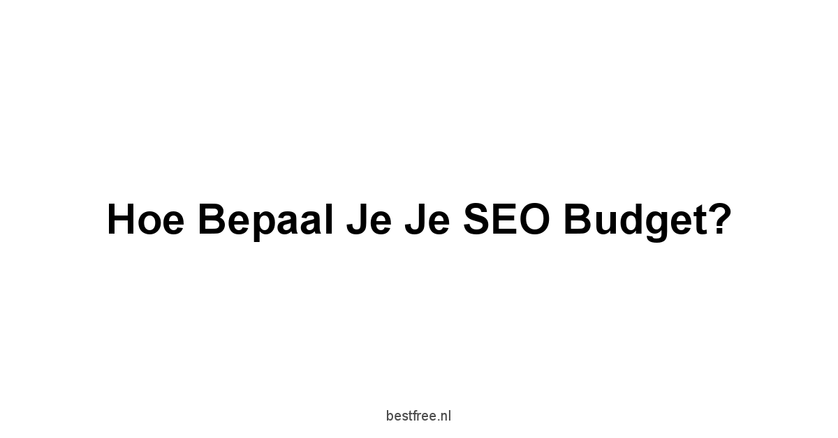Hoe bepaal je je SEO budget?