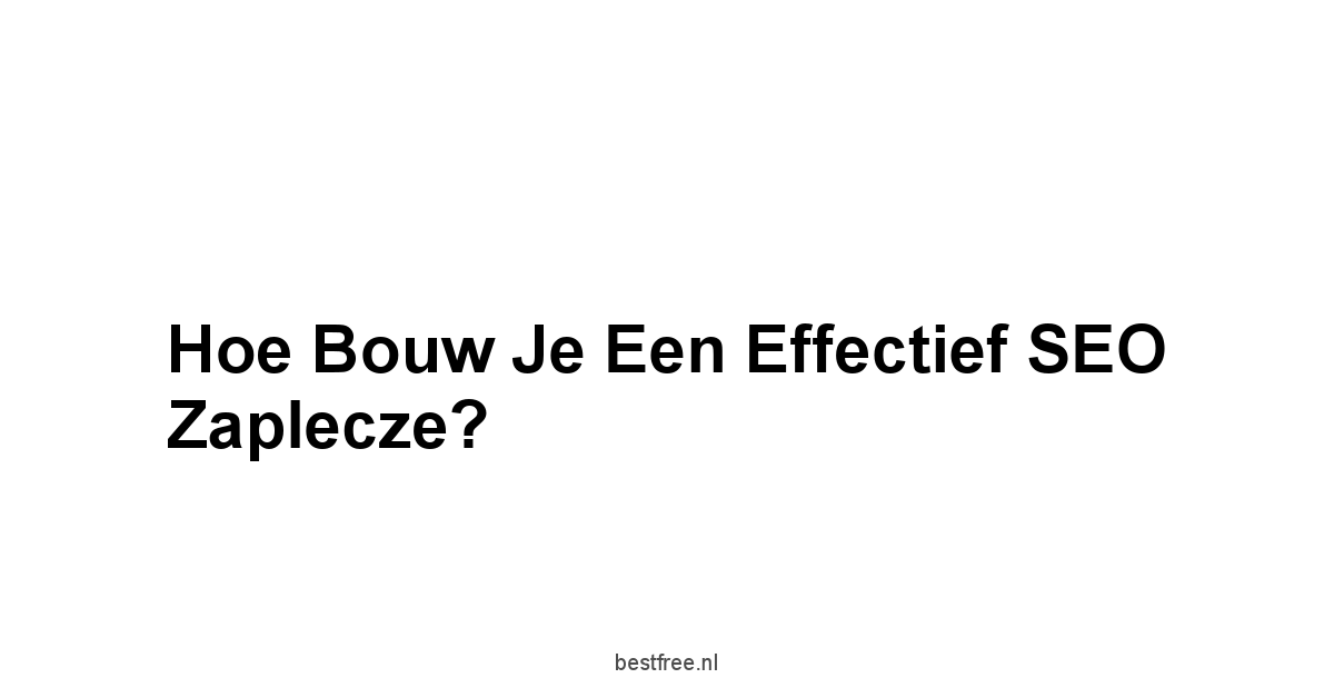 Hoe Bouw je een Effectief SEO Zaplecze?