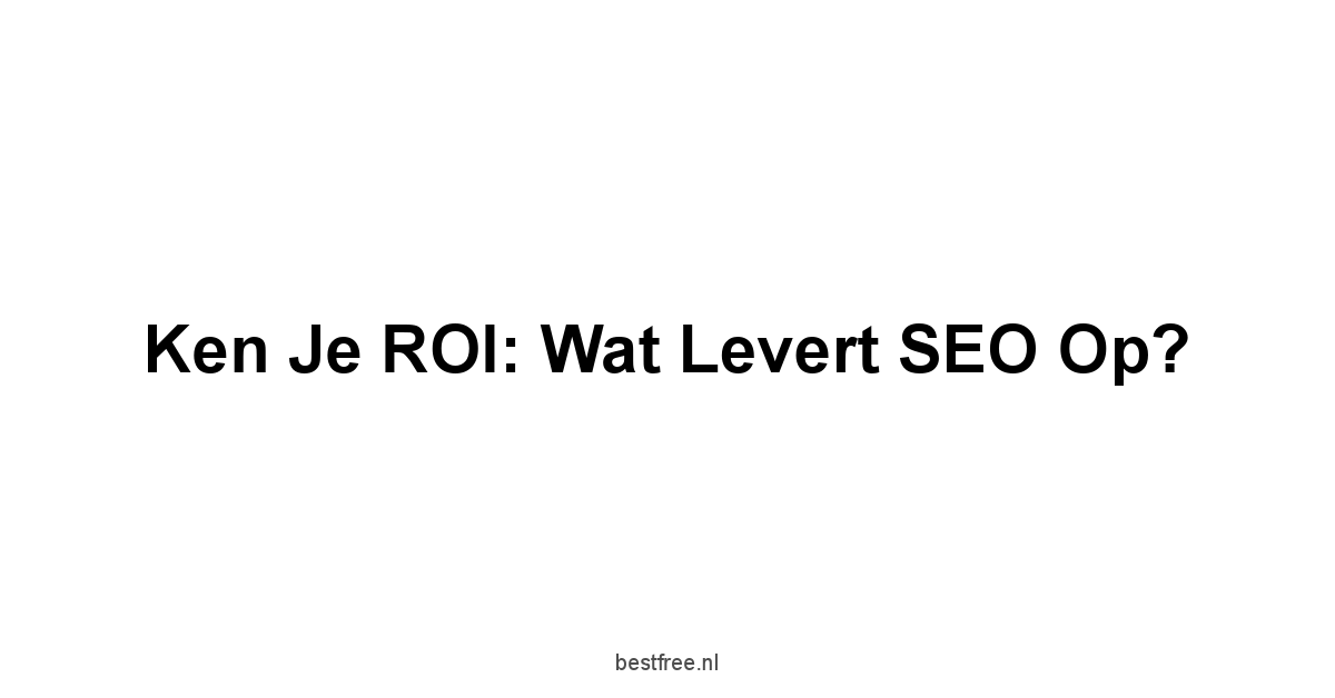 Ken je ROI: Wat levert SEO op?