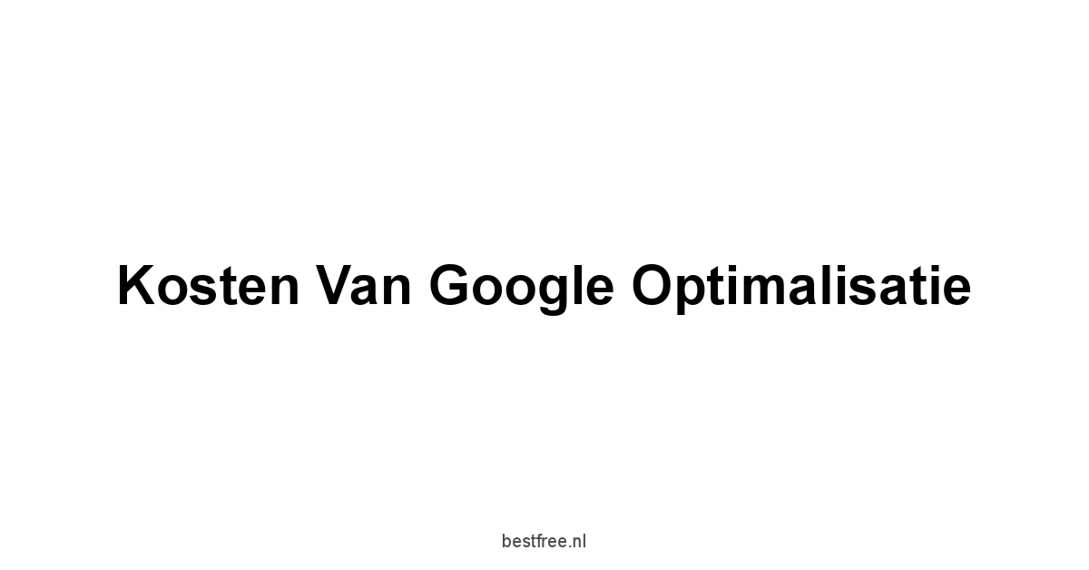 Kosten van Google optimalisatie