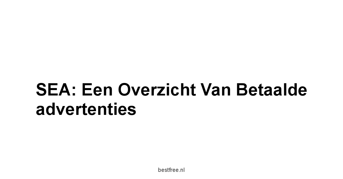 SEA: Een overzicht van betaalde advertenties