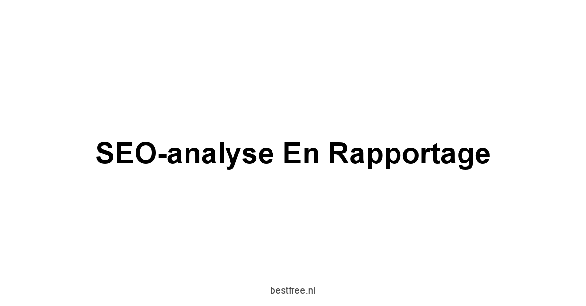 SEO-analyse en rapportage