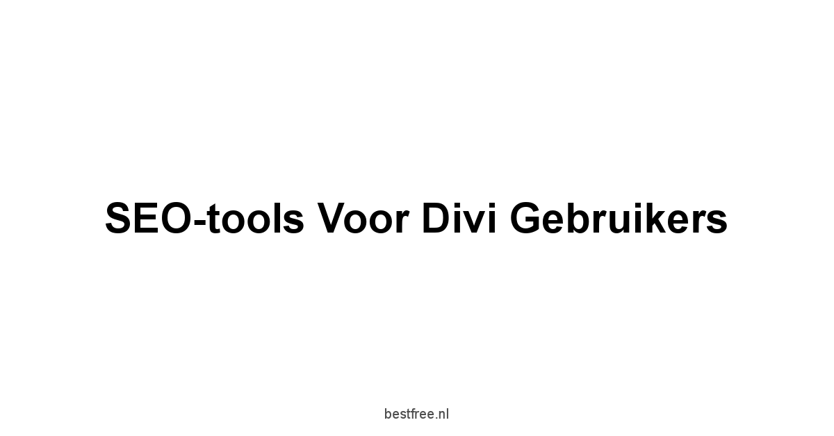 SEO-tools voor Divi gebruikers