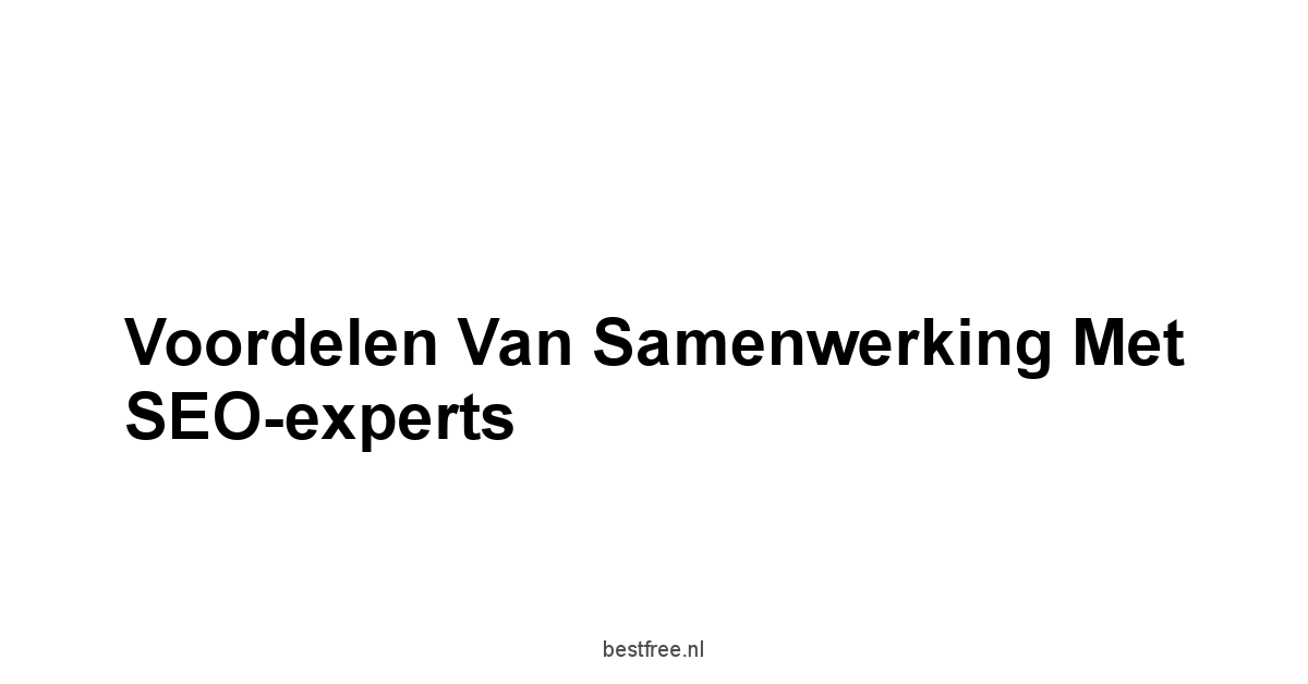 Voordelen van Samenwerking met SEO-experts