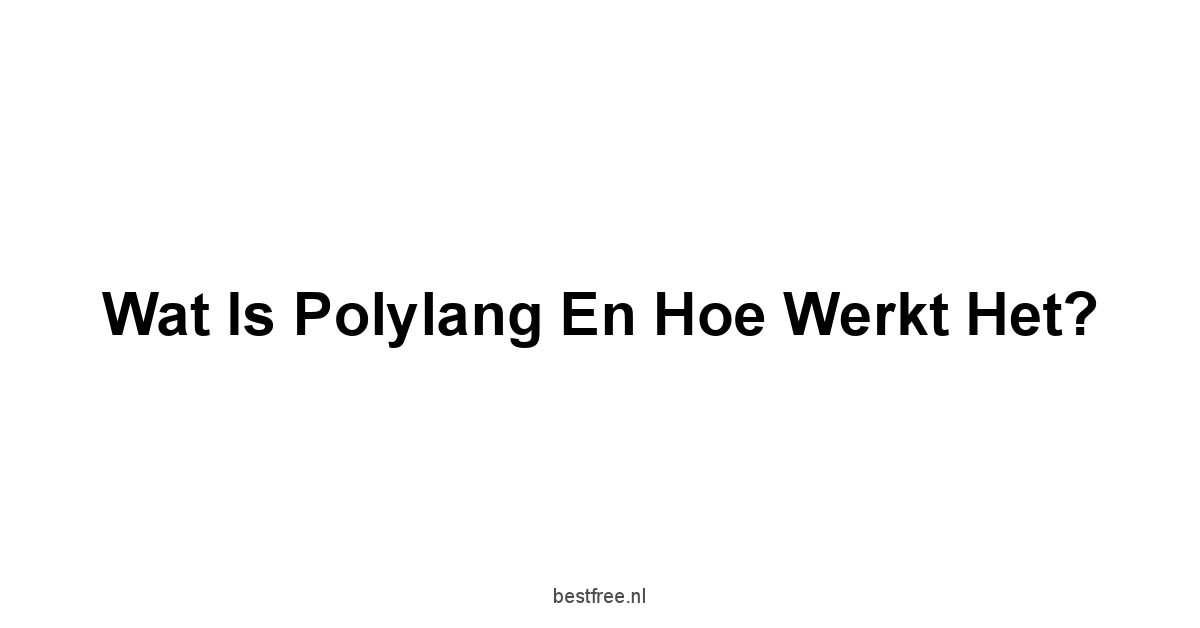 Wat is Polylang en hoe werkt het?
