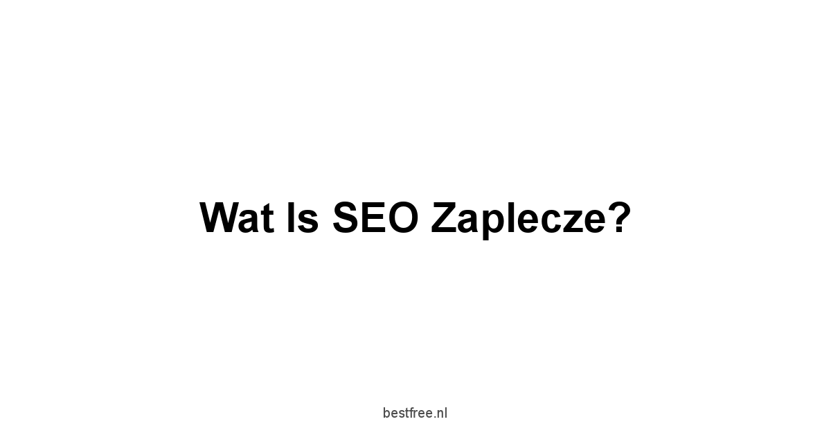 Wat is SEO Zaplecze?