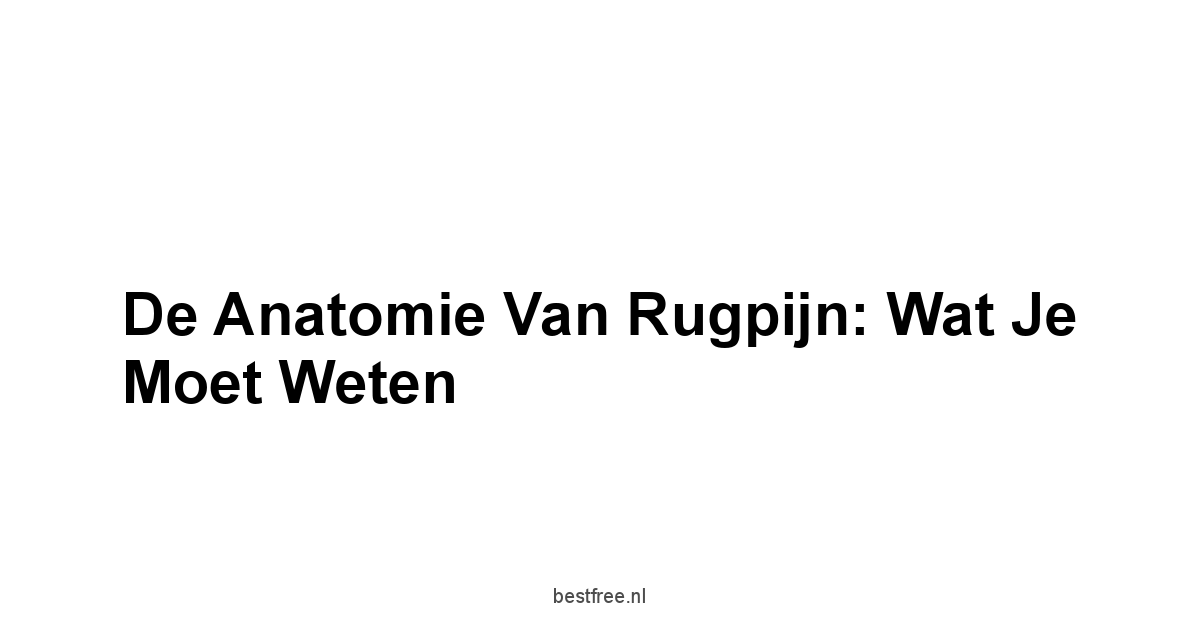 De Anatomie van Rugpijn: Wat Je Moet Weten