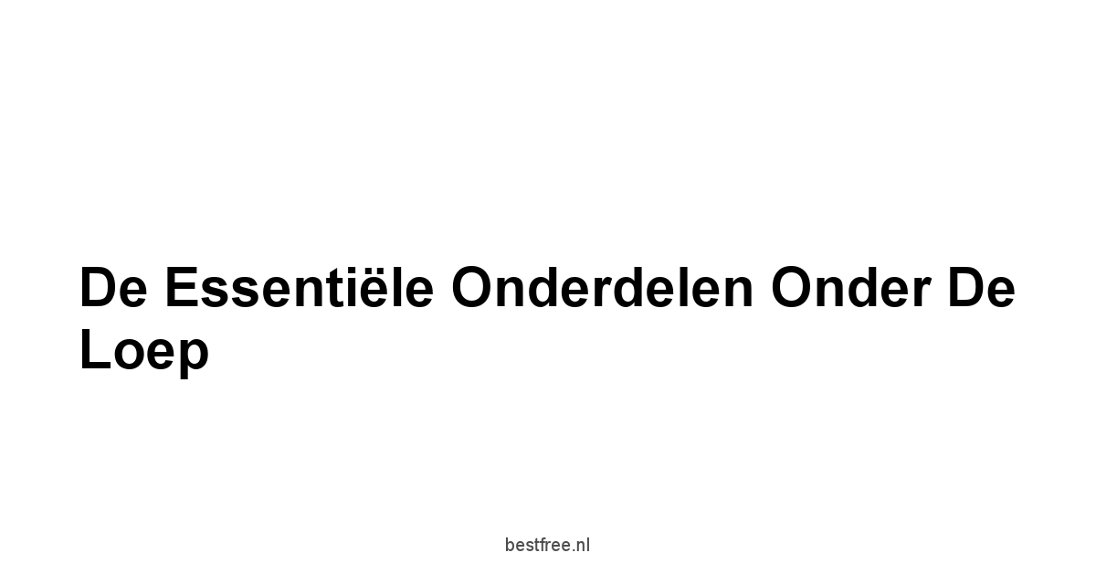 De Essentiële Onderdelen Onder de Loep