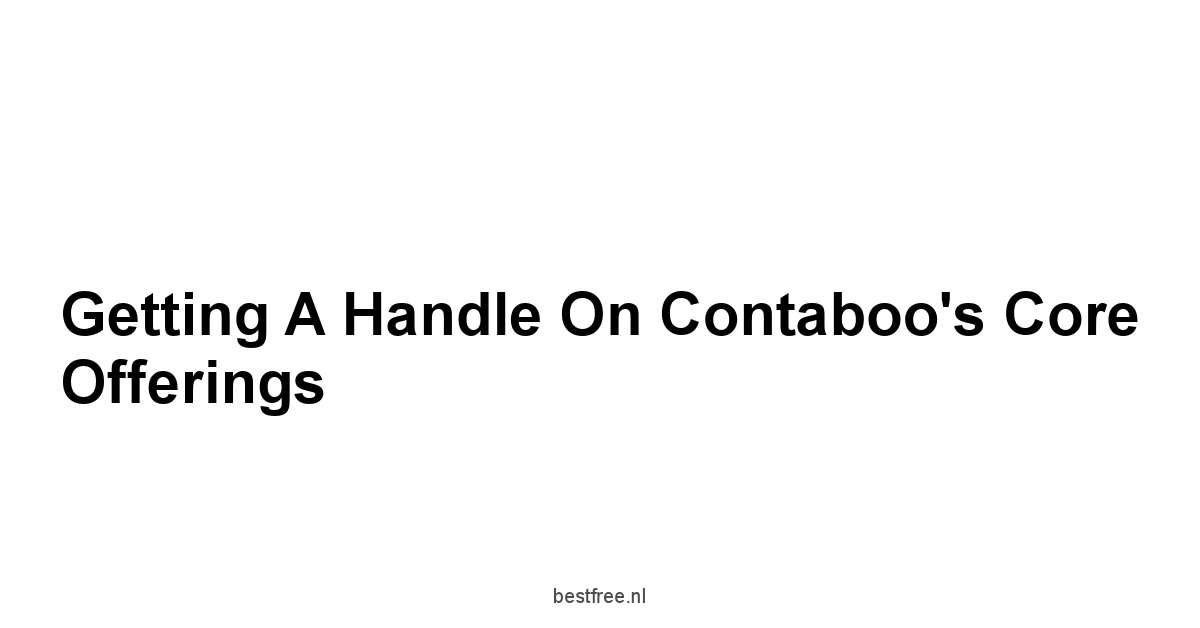 Getting a Handle on Contaboo's Core Offerings