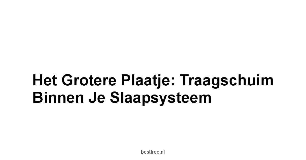 Het Grotere Plaatje: Traagschuim Binnen Je Slaapsysteem