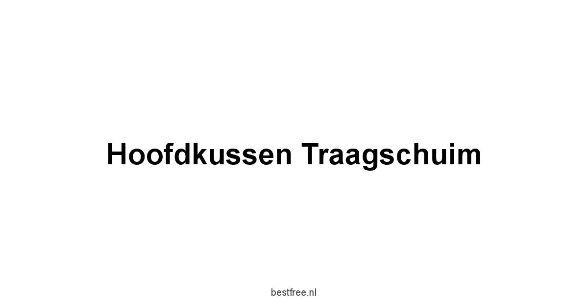 Hoofdkussen Traagschuim 1 by BestFREE.nl