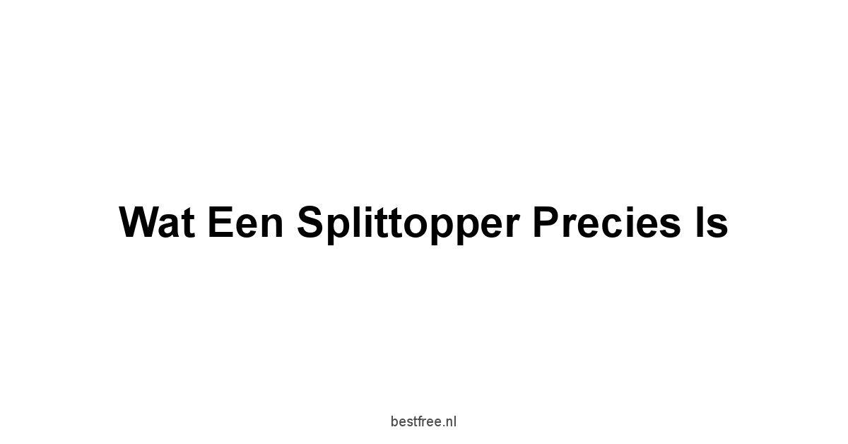 Wat een Splittopper Precies Is