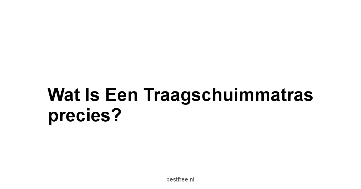 Wat is een traagschuimmatras precies?