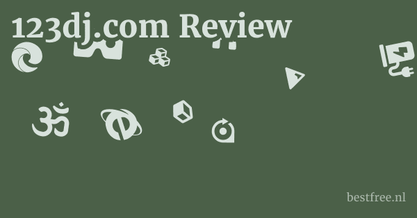 123dj.com Review 1 by BestFREE.nl