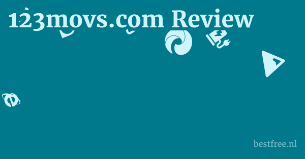 123movs.com Review 1 by BestFREE.nl