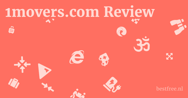 1movers.com Review 1 by BestFREE.nl