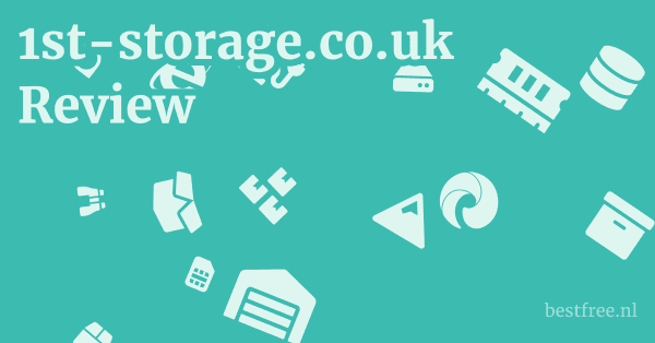 1st-storage.co.uk Review 1 by BestFREE.nl