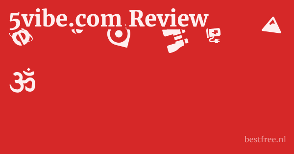 5vibe.com Review 1 by BestFREE.nl