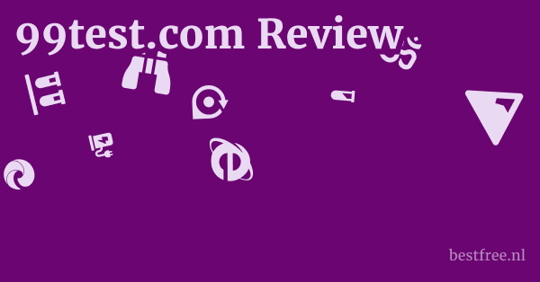 99test.com Review 1 by BestFREE.nl
