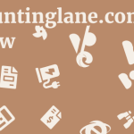 Accountinglane.com Review 11 by BestFREE.nl