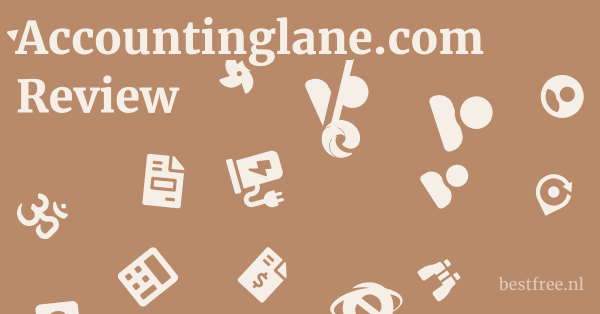 Accountinglane.com Review 1 by BestFREE.nl