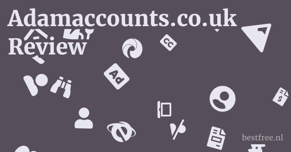Adamaccounts.co.uk Review 1 by BestFREE.nl