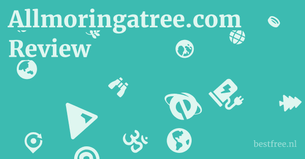 Allmoringatree.com Review 1 by BestFREE.nl