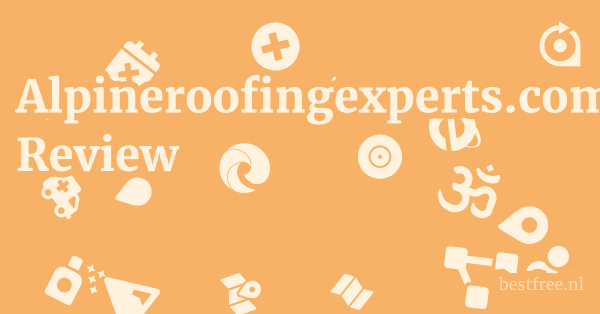 Alpineroofingexperts.com Review 1 by BestFREE.nl