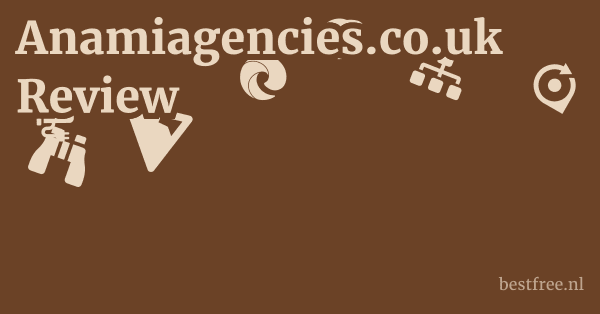 Anamiagencies.co.uk Review 1 by BestFREE.nl