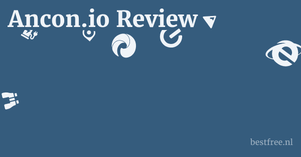 Ancon.io Review 1 by BestFREE.nl