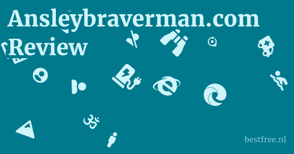 Ansleybraverman.com Review 1 by BestFREE.nl