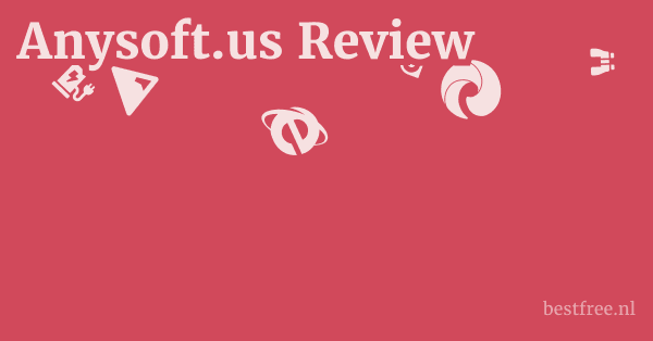 Anysoft.us Review 1 by BestFREE.nl