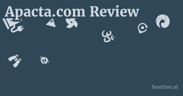 Apacta.com Review 1 by BestFREE.nl