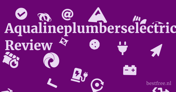 Aqualineplumberselectriciansheating.com Review 1 by BestFREE.nl