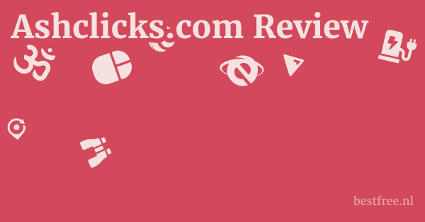 Ashclicks.com Review 1 by BestFREE.nl