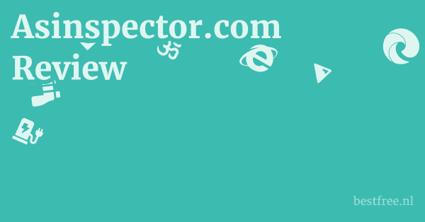 Asinspector.com Review 1 by BestFREE.nl
