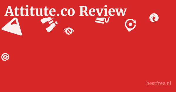 Attitute.co Review 1 by BestFREE.nl