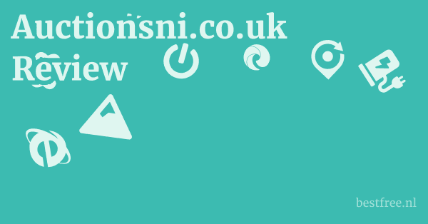 Auctionsni.co.uk Review 1 by BestFREE.nl