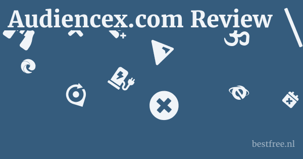 Audiencex.com Review 1 by BestFREE.nl