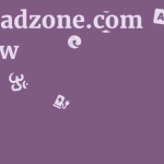 B2bleadzone.com Review 11 by BestFREE.nl